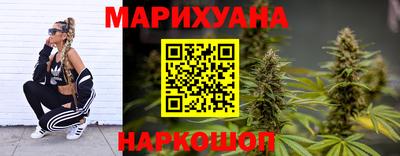 шишки Новокубанск