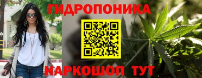 шишки Новокубанск